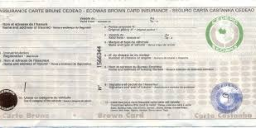 Mr. Habib Dia Elected as Vice President